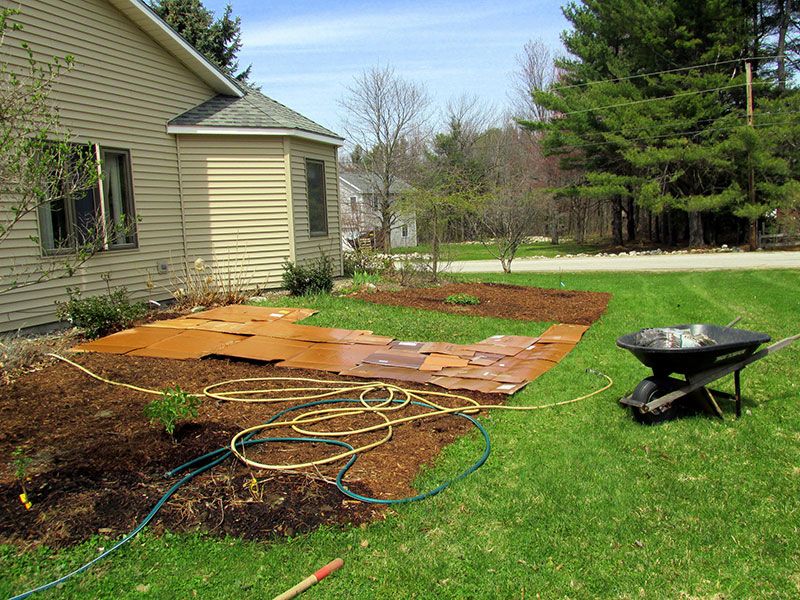Sheet Mulching How to Smother Weeds, Build Soil & Conserve Water t...