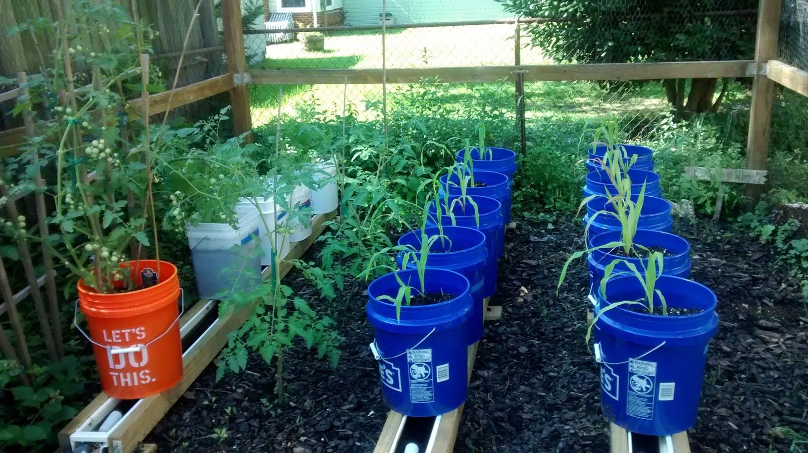 How to Build a SelfWatering Rain Gutter Grow System by Gutter Helmet